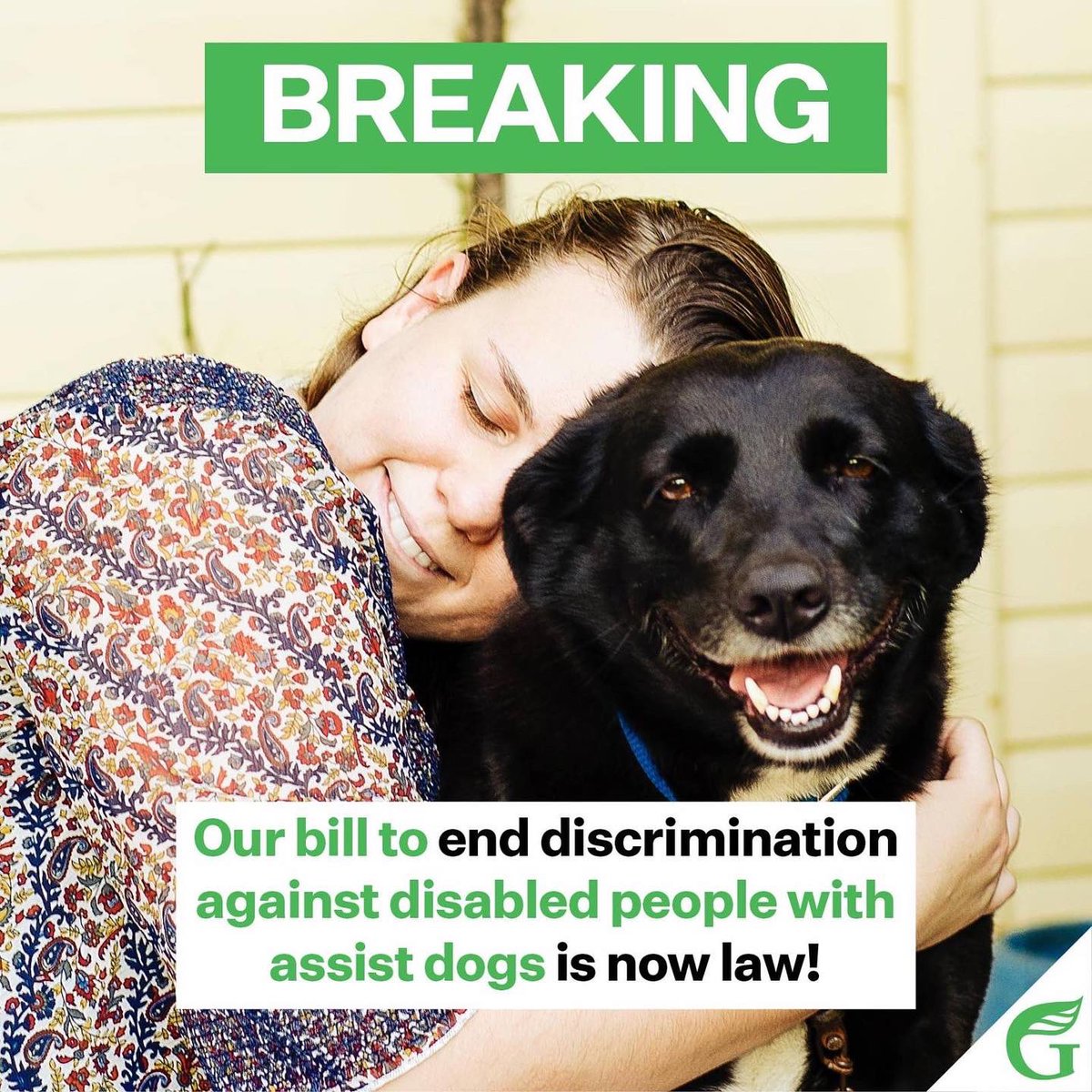 RMarchNZ's tweet photo. #breaking success 🎉  The Human Rights (Disability Assist Dogs Non-Discrimination) Amendment Bill will become law and strengthen the Human Rights Act to state that a person cannot be a denied a service–such as a home or transport–simply because they have a disability assist dog https://t.co/ozyMj6aGN0