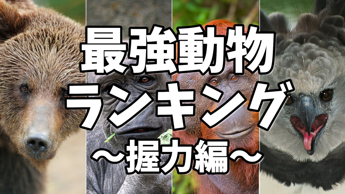 Ranking Labo Rankinglabo1 Twitter
