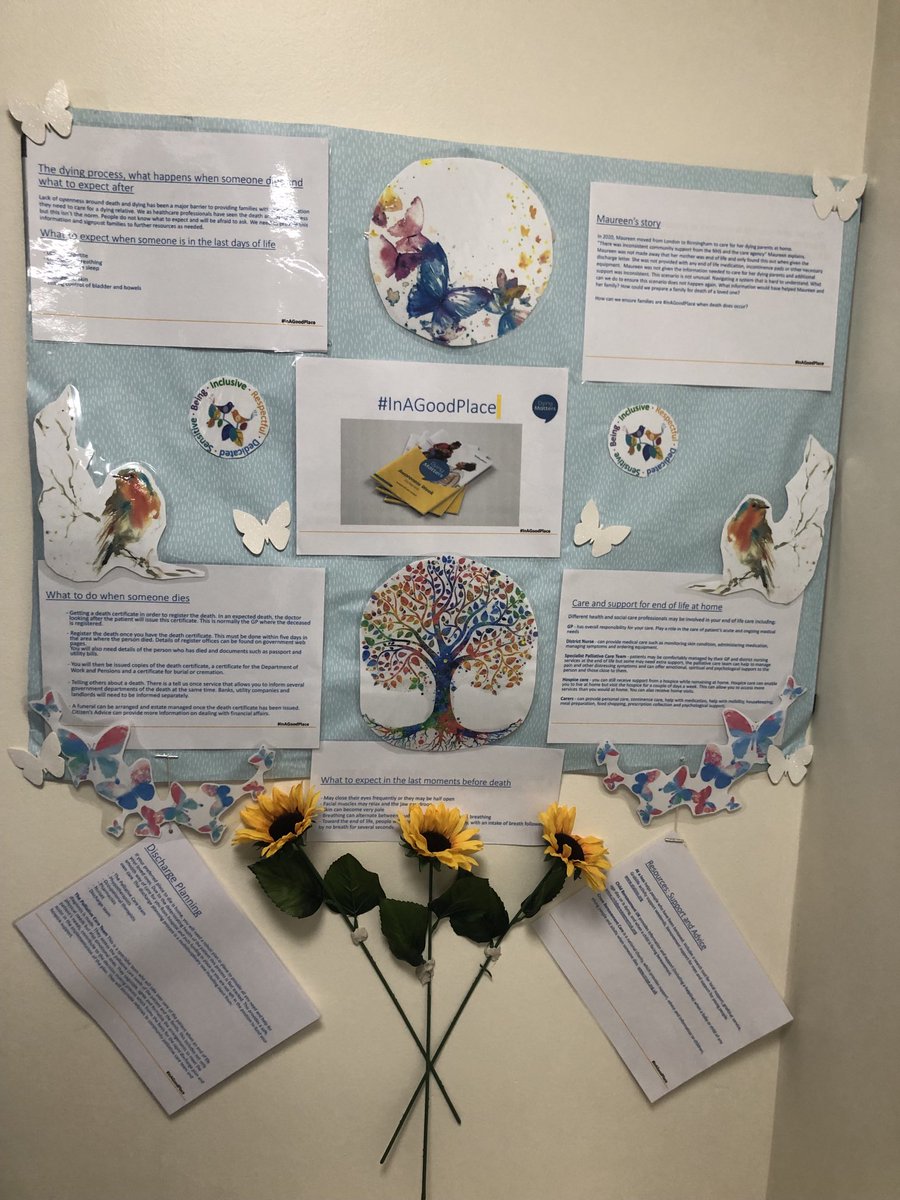 elly buckley tweet media