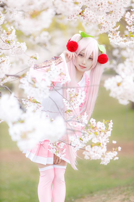 コスプレイヤー蜜苺(みつまい)のTwitter画像42