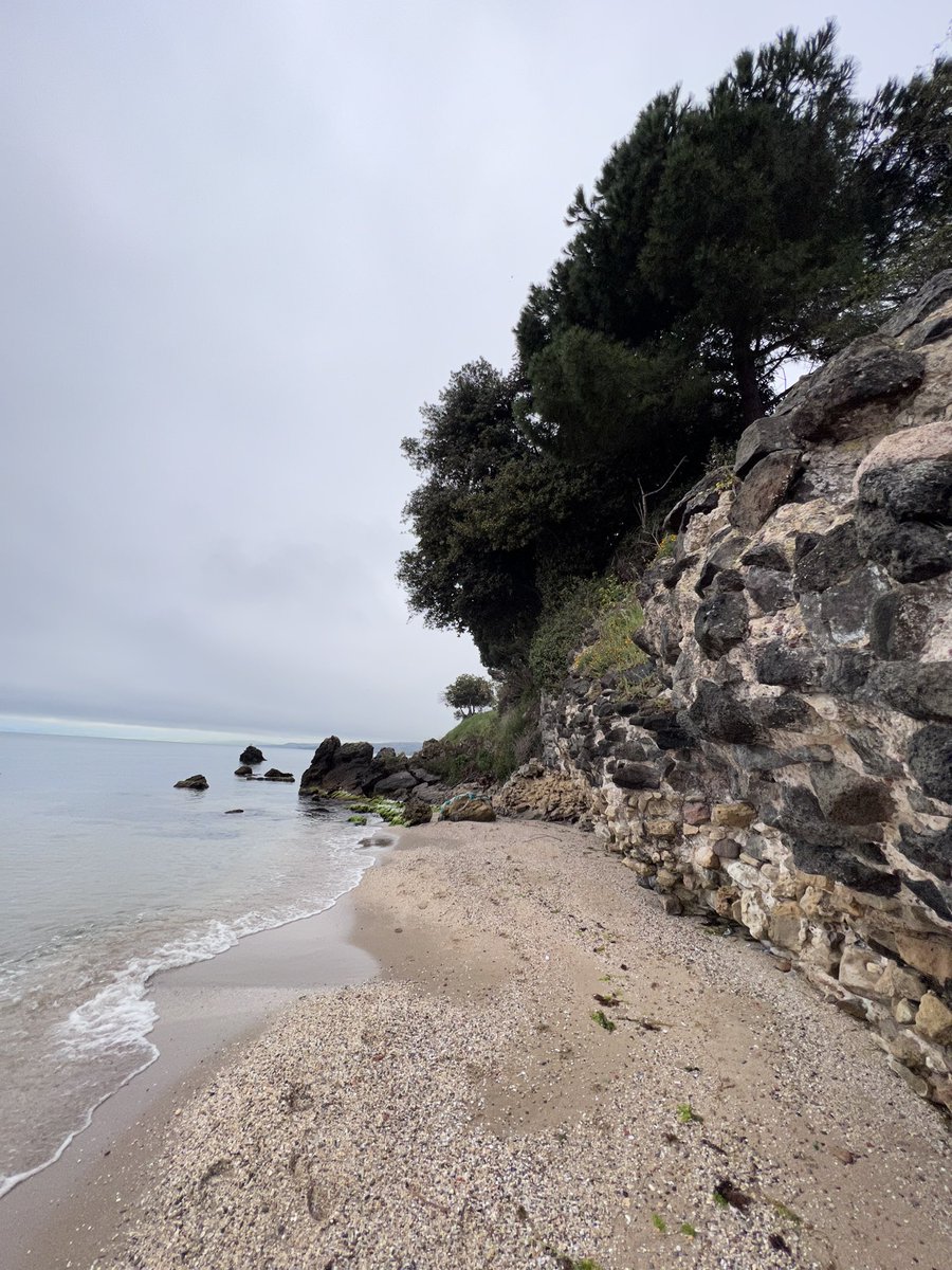 OmurdenSezgin's tweet photo. Kent marka iletişiminde en sevdiğim ve bence en çok yakışan sloganlardan👇

Türkiye’in kaptan köşkü: Sinop ⚓️

Siz hangi sloganları seviyorsunuz? 

Ülkenin en kuzey ucu, en mutlu insanların yaşadığı bu şirin kentten selamlar🙋🏻‍♂️💙 

#KentMarka https://t.co/COOHlI5Ruk