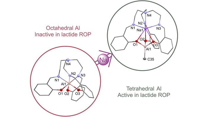 EurJIC (@eurjic) on Twitter photo Garden and co-workers report Na and Al complexes that catalyse lactide ROP <a href="/garden_jenni/">Jenni Garden</a> <a href="/zhouyalili/">Yali Zhou</a> <a href="/EdinburghChem/">Chemistry Edinburgh</a> onlinelibrary.wiley.com/doi/10.1002/ej⦠Garden and co-workers report Na and Al complexes that catalyse lactide ROP <a href="/garden_jenni/">Jenni Garden</a> <a href="/zhouyalili/">Yali Zhou</a> <a href="/EdinburghChem/">Chemistry Edinburgh</a> onlinelibrary.wiley.com/doi/10.1002/ejā¦