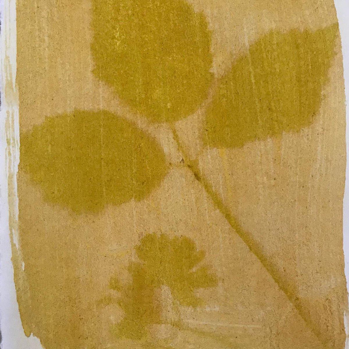 iprintedthat's tweet image. In this month’s PRINT CLUB we’ll be making anthotypes - an early form of photography (def: drawing with light) that uses the natural pigments to create prints. It’s a little bit like magic! More info and sign up link here iprintedthat.com/workshops