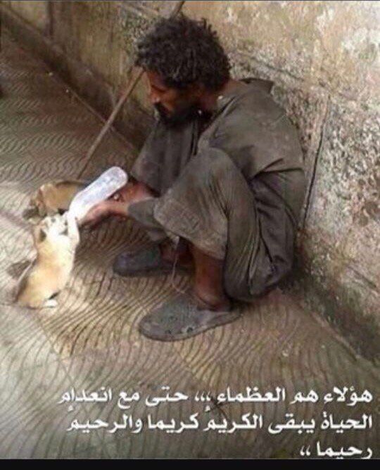 لا شيء يخترق القلوب كلطف العبارة وبذل الإبتسامة ولين الكلام وسلامة القصد ونقاء القلب وغض الطرف عن الزلات....
