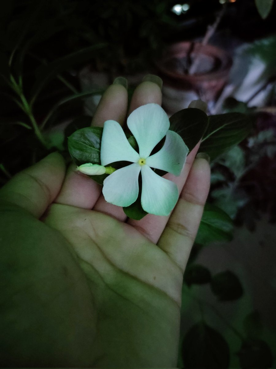 fjolly6's tweet photo. সবাই কেমন আছেন??ঈদ মোবারক।অনেক দিন পর টুইটার এ আসলাম। https://t.co/ANUMibPEGZ