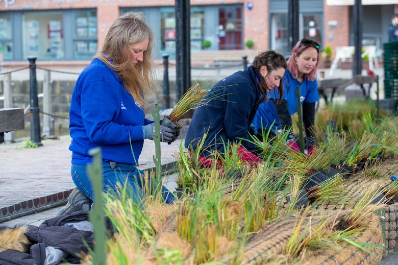 CRTWalesandSW's tweet photo. Some pics of the planting we carried out last week in #Gloucester Docks. Our staff and #volunteers planted dozens of aquatic plants in floating pocket-sized reed beds that will add a wildlife-friendly splash of greenery in the Barge Arm. #nature #wildlife #biodiversity https://t.co/pkKx0GdD2f