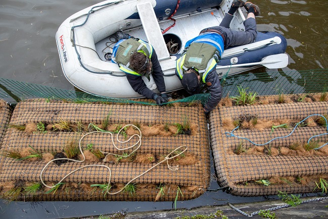 CRTWalesandSW's tweet photo. Some pics of the planting we carried out last week in #Gloucester Docks. Our staff and #volunteers planted dozens of aquatic plants in floating pocket-sized reed beds that will add a wildlife-friendly splash of greenery in the Barge Arm. #nature #wildlife #biodiversity https://t.co/pkKx0GdD2f