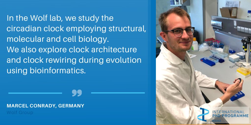 imbmainz's tweet photo. Open #PhDposition in the Wolf lab @uni_mainzπ’
Check out our International PhD Programme at https://t.co/89idgKqWVB & apply by 10 May!
Take a look at the projects offered in the @IPPMainz summer call 2022: https://t.co/zunE8ndvTf
#ippmainz #structuralbiology #proteinbiochemistry https://t.co/zn2fMiIZ9t