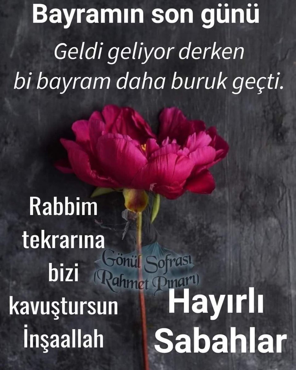 m 4 d E n L i (@madenlidogan) on Twitter photo 