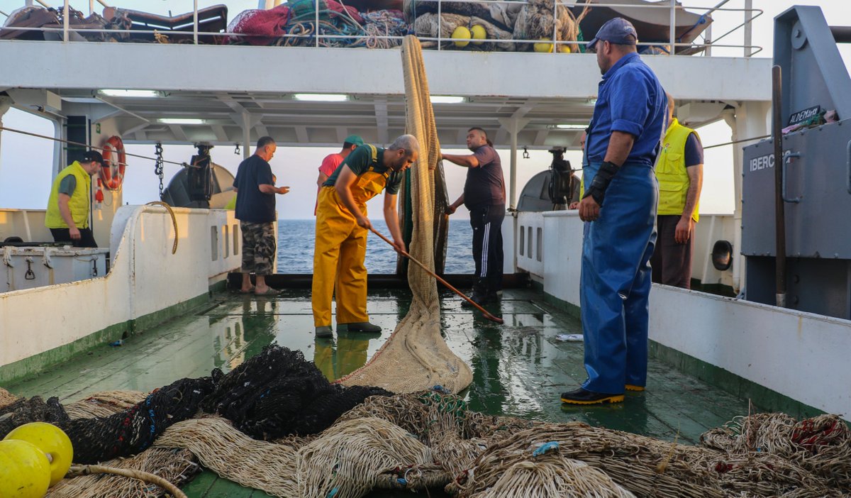 UN_FAO_GFCM's tweet photo. 📢FINAL CALL! Register #today for the #GFCM_SRC meeting:
📌#WGMSE session on small #pelagic & #demersal fisheries
📌Outcomes of technical activities relevant for the management of fisheries in the #Adriatic #Sea
& much more
🗓️ 17-20th of May
https://t.co/85laCrqeo8 https://t.co/gP0bPECPFw