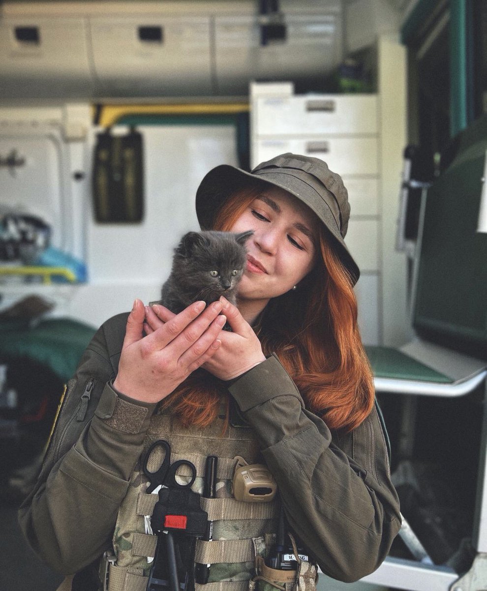 UkrARMY cats & dogs tweet media
