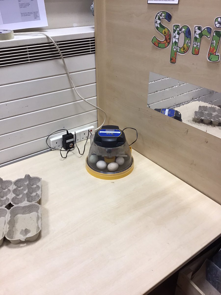 We are very ‘eggcited’ this morning! We have had a special delivery overnight. We’ve got seven eggs to look after. I wonder what is inside?