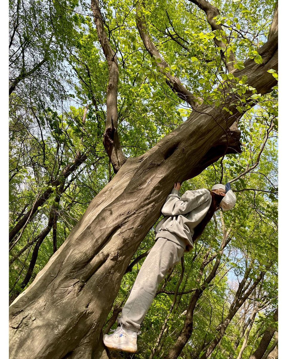 Yooaime's tweet photo. Spent some time in the nature during my break time. The forest child is back in action!🌿 https://t.co/um8fPHDXoL