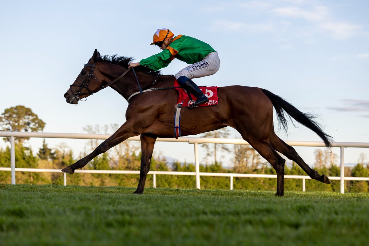 HRIRacing's tweet photo. #TodaysTips - https://t.co/rn3bVyV30G
🏇@GowranPark1
⏰First Race 4.50pm
Two Listed races feature on the early evening card from #GowranPark
Our preview is here ↙️
https://t.co/rn3bVyV30G #SultanovSwing https://t.co/ZyN549BZFi