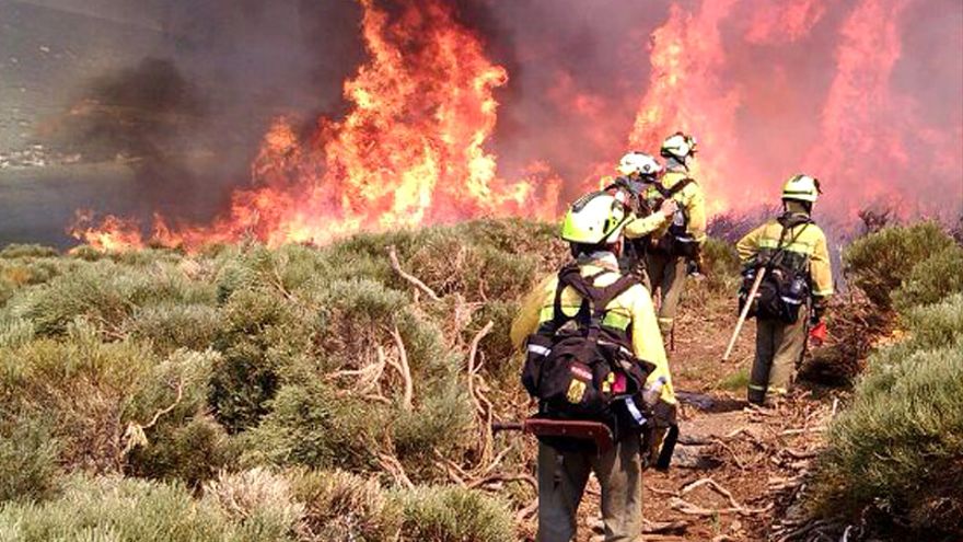 Hoy #DíaInternacionaldelBombero mandamos un saludo especial a las y los #BomberosForestales, con quienes coincidimos en la lucha contra los incendios y en los tratamientos silvícolas para su prevención.

💪🏻
🚁🛩️
💦💦
🔥🌳🔥🌲👩🏻‍🚒👨🏻‍🚒🚒

#YoQuieroVerteMañana