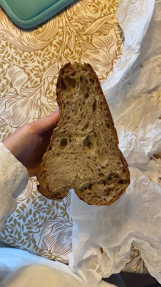 xiaano's tweet image. yo solo keria tostadas