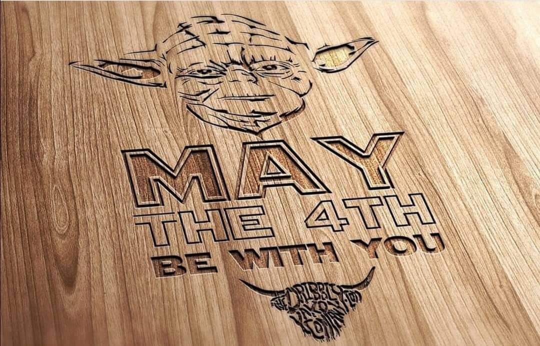 Happy Star Wars Day 🌟
...
#dribbleandburn #pyrography #illustration #woodart #handmade #starwars #starwarsday #maythefourth