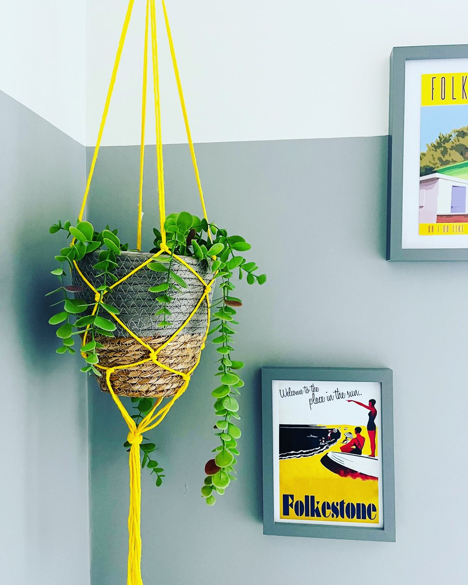 georginaburnett's tweet image. A DIY macrame plant hanger is such a simple way to get a pop of colour into a dark corner. Would you guys like me to do a tutorial on this? 
TheHomeGenie.com

#colourpop #colourblocking #diycrafts #macrame
