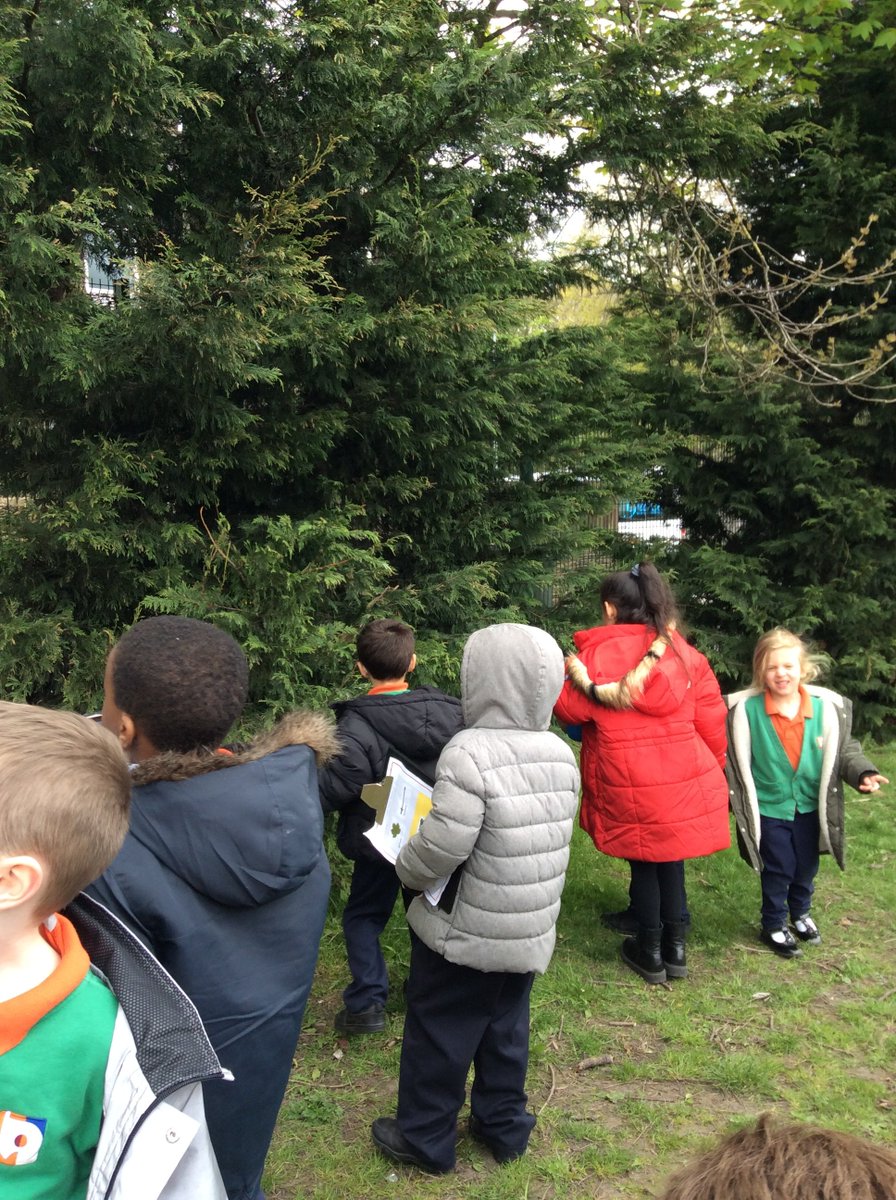 BA Primary tweet media