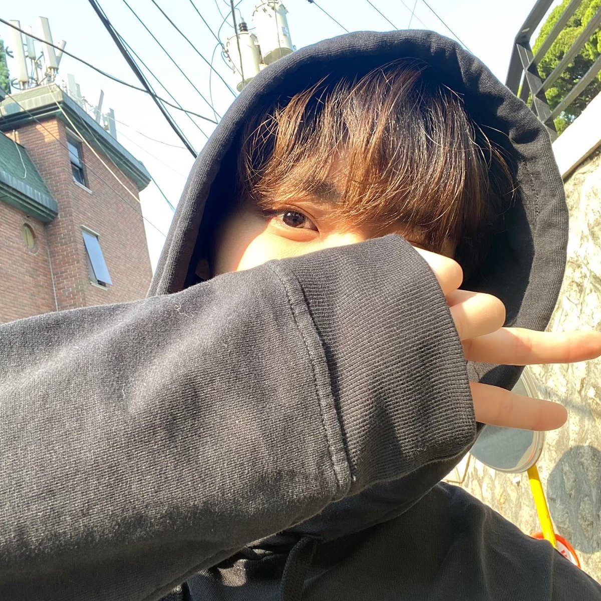 mixxky_'s tweet photo. 햇살 받은 강아디 예뻐 ~~~ ❤︎ https://t.co/so9bSJjlfY
