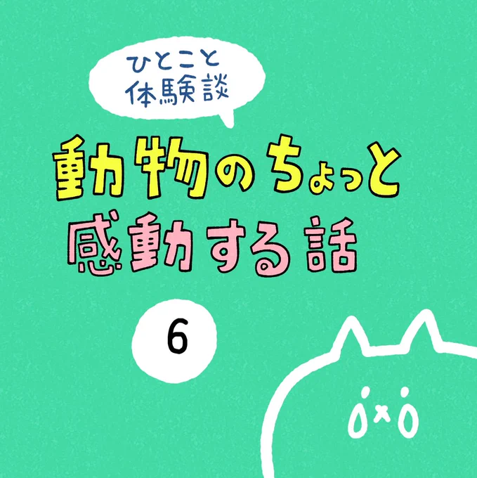 「動物のちょっと感動する話」その6 