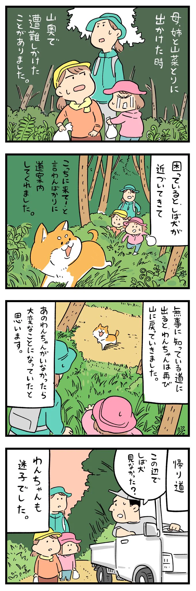 衝撃的すぎるオチ･･･！山奥で遭難しかけたとき、ある一匹の柴犬に助けてもらったお話！