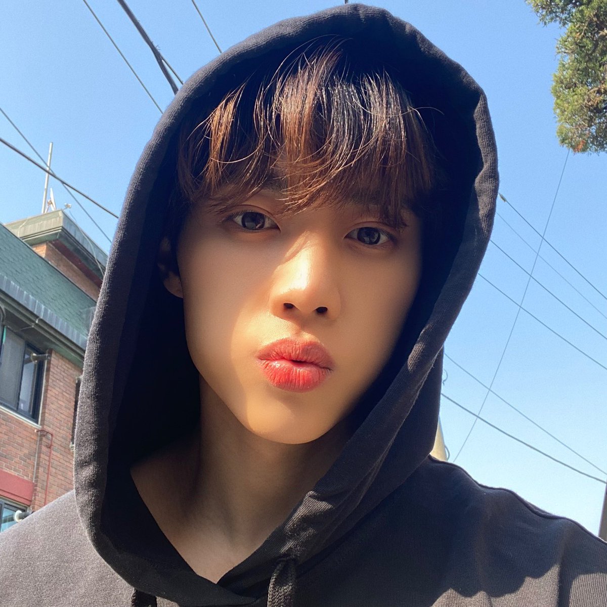 mixxky_'s tweet photo. 강아디야!!!!!! https://t.co/ge7BM8hziV