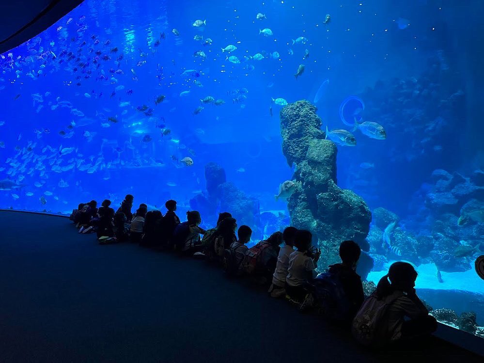 CeipEsteban's tweet photo. 😃El pasado viernes 29 de Abril, el primer ciclo salió de excursión al 🐠Poema del Mar🐡, los niños/as quedaron encantados/as😍. Aquí tenemos al alumnado de 1º B durante el recorrido. #educacionprimaria #poemadelmar https://t.co/XLmZ75hS3z