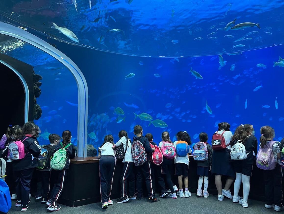 CeipEsteban's tweet photo. 😃El pasado viernes 29 de Abril, el primer ciclo salió de excursión al 🐠Poema del Mar🐡, los niños/as quedaron encantados/as😍. Aquí tenemos al alumnado de 1º B durante el recorrido. #educacionprimaria #poemadelmar https://t.co/XLmZ75hS3z