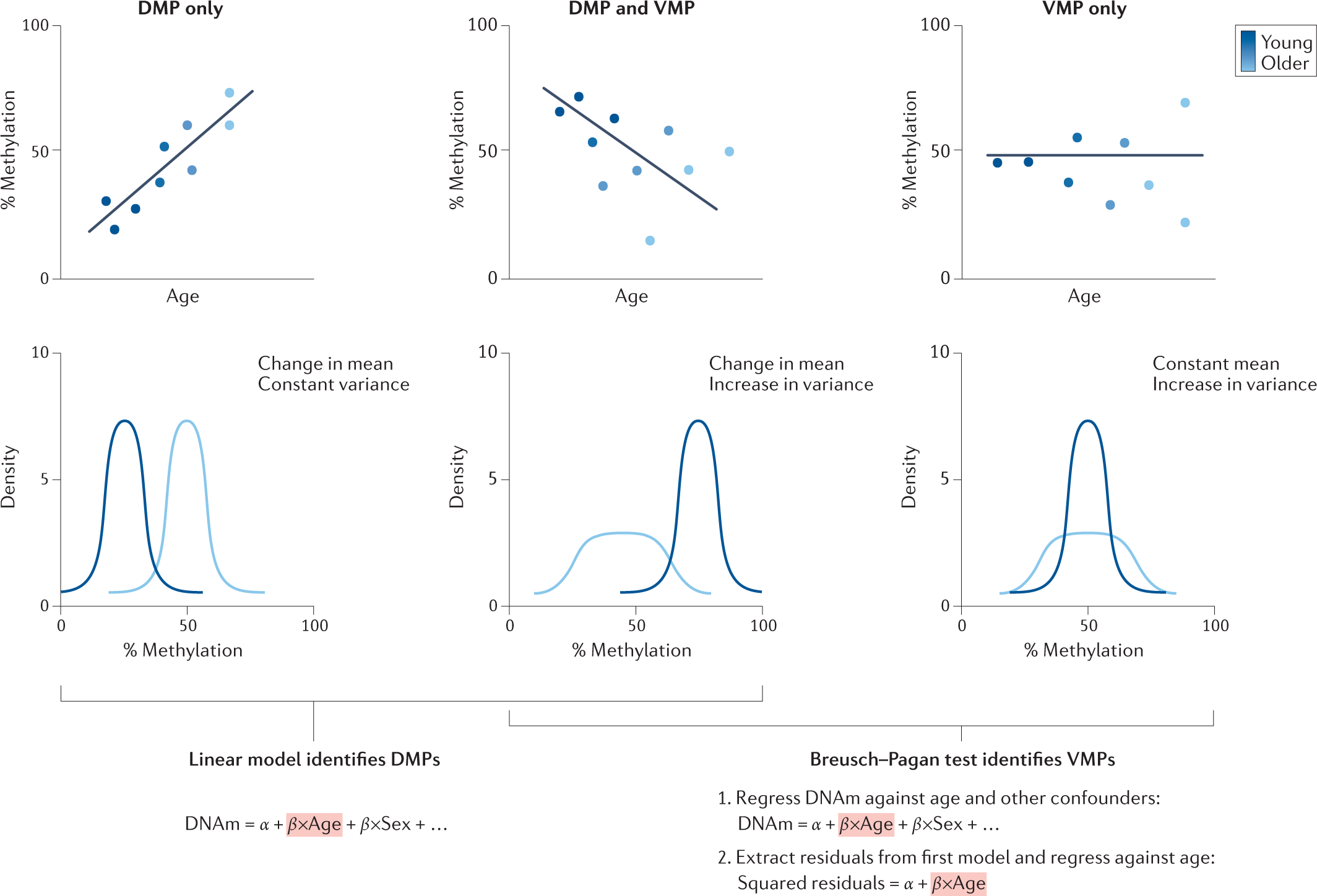 Nature Reviews on Twitter "In this Review, the authors
