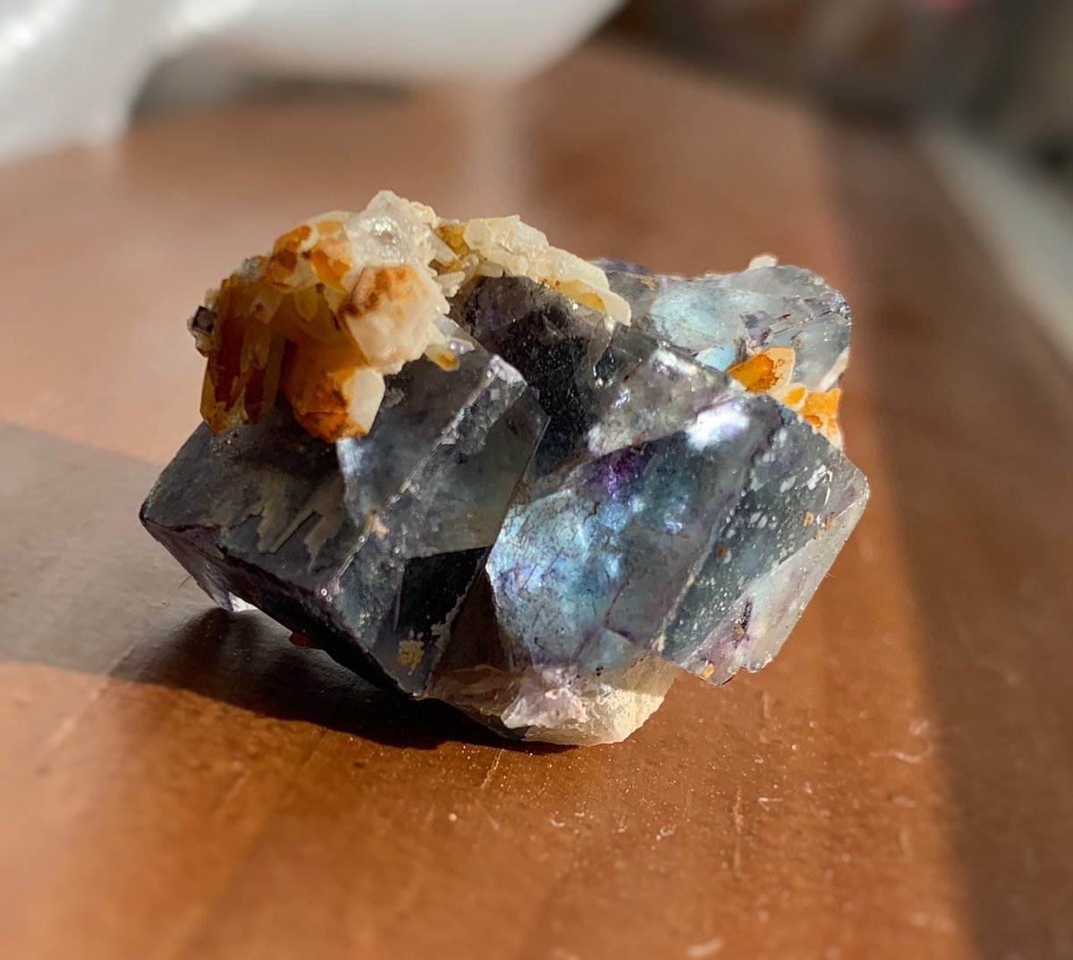 Chiyozo_April's tweet image. アフリカからフローライト届いた(*´ᵕ`ㅅ)💕

円安過ぎて控えてはいるけど、この子は一目惚れしてしまってですね…(   ˙꒳​˙ )

伝われこの色の魅力とかわいさ…！

アフリカのセラーさんは何気に初！コンゴトモヨロシク……(*´꒳`*)

#フローライト #Brandberg