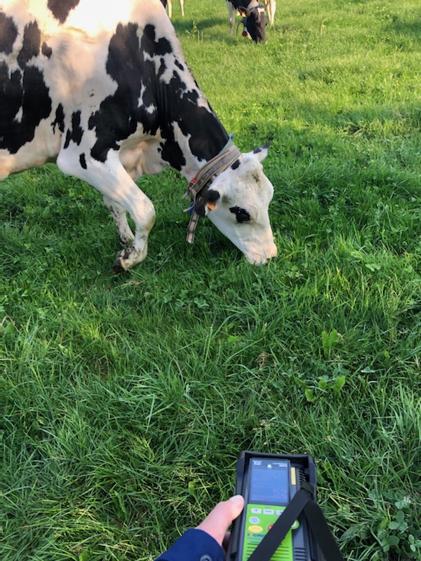B_Rouille's tweet image. Mesures de #méthane au #pâturage en cours avec le Laser Methane Detector (LMD) / On going measures of methane emissions when grazing using the LMD technique 
🌤☘🐄🌬

@ERA_NET_SusAn #GrASTech ➡️ bit.ly/3ykqAeS