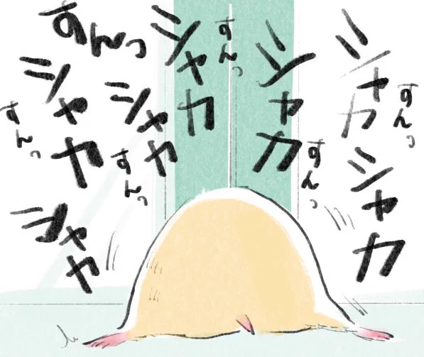 ふすまの溝を掘りながらものすごい勢いでスンッ!スンッ!って匂い吸うんだけどそんな掃除機みたいな真似はやめてほしかったね… 