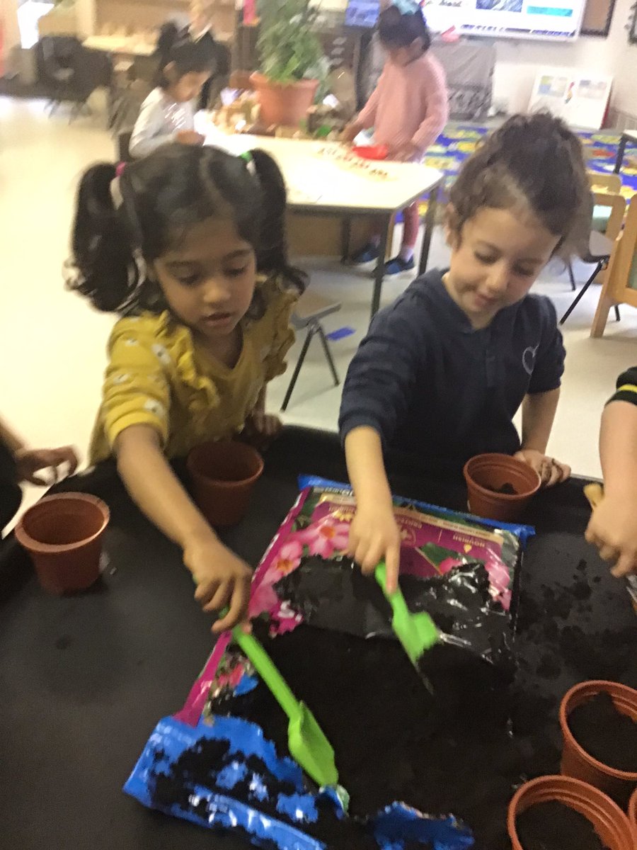 Science at Elmridge tweet media