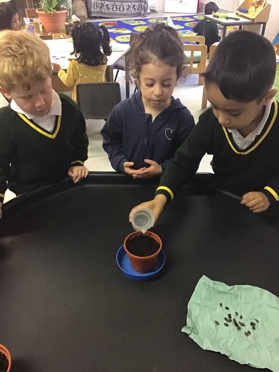 Nursery are challenging the rest of school to take part in the #sunflowerchallenge 🌻 We have prepared the pots and will deliver later! Good luck <a href="/ElmridgeSch/">Elmridge Primary</a>