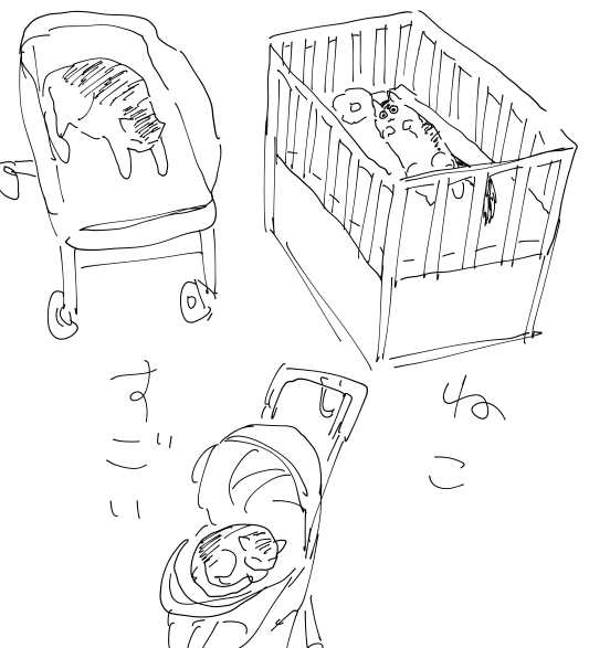 姪のものをなんでも奪う猫 