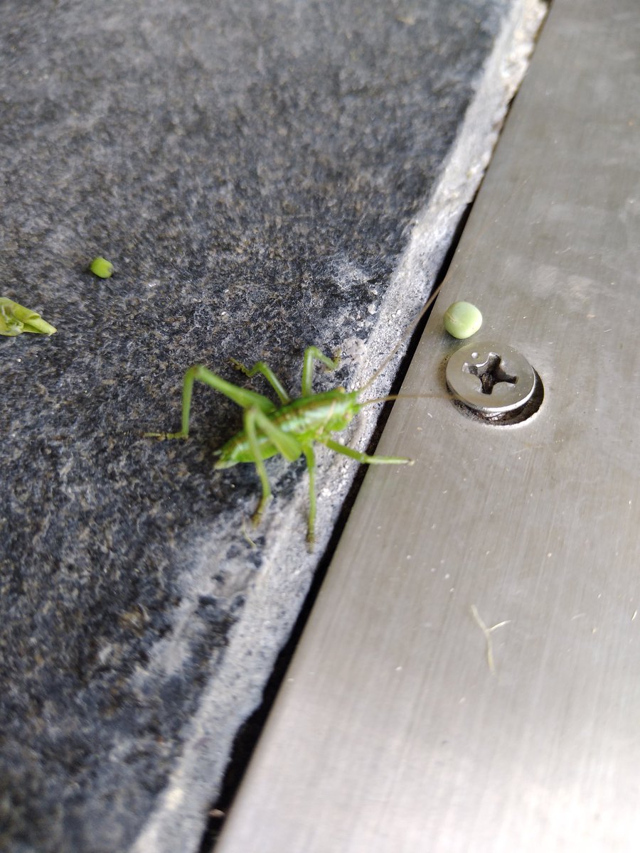 他の人購入しないで。お値下げ可能⭐︎りぃ　様 おトクにお試しだけ」のつもりが「定期購入」に…！？ - 牧之原市