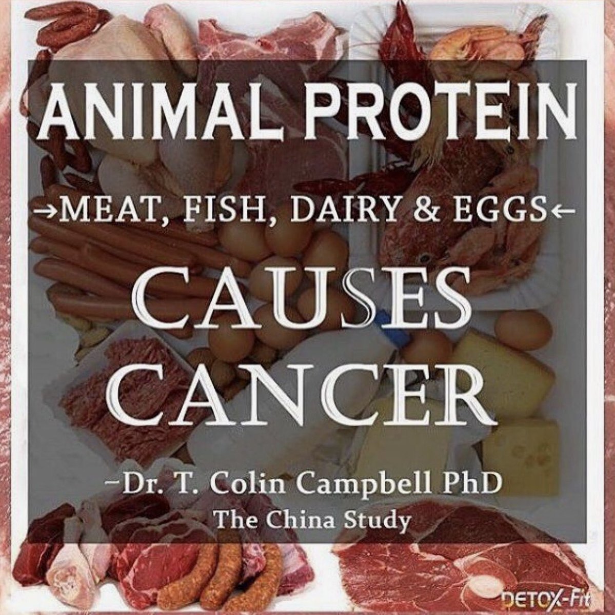 schmoozequeen's tweet photo. #Beef up the warnings: Examining the link between #processedmeat consumption and #cancer
#QuitMeat #StopEatingAnimals #GoVegan
https://t.co/dLK9Q0FTtw
@agargmd @DrKristieLeong @DrNealBarnard @TColinCampbellF @_eatingyoualive @TheSkepticalV https://t.co/hSvS5PxC7N