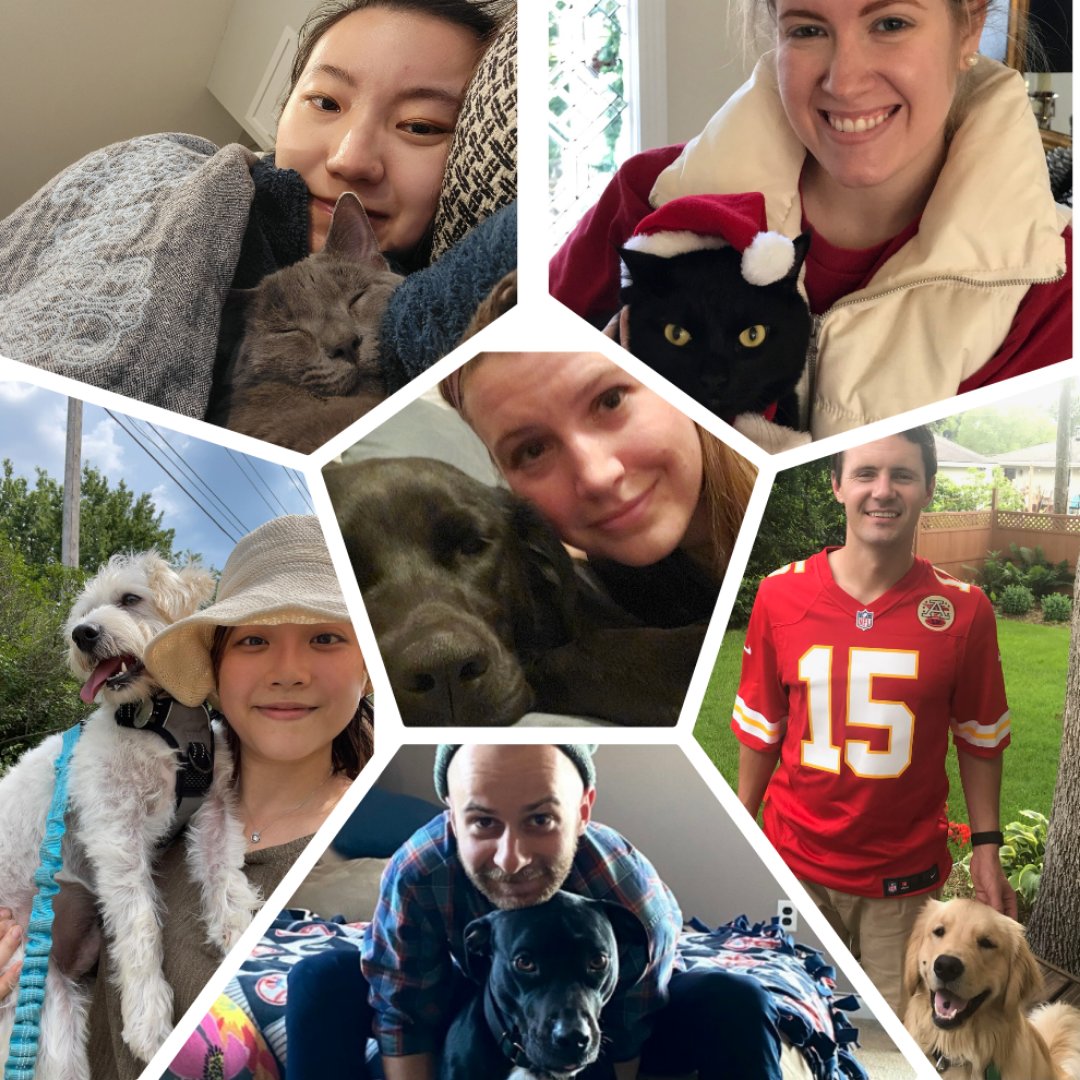 Zhenmei Zhang (@zhenmeizhangmd) on Twitter photo We love our furry friends <a href="/MayoPCCM/">MayoPCCM</a>!! Featuring second year PCCM fellows with their pets (clockwise from upper right): Smokey, Hank, Linus, Tofu, Pudding and Poppy. 🐶 😺 #ChestChallenge2022 #ChestTrainees <a href="/JamieFelzerMD/">Jamie Felzer, MD MPH</a> @JennDukeMD @PhillipJGaryMD <a href="/Martin_MaxMD/">Max Martin</a> <a href="/PaigeMartyMD/">Paige Marty</a> We love our furry friends <a href="/MayoPCCM/">MayoPCCM</a>!! Featuring second year PCCM fellows with their pets (clockwise from upper right): Smokey, Hank, Linus, Tofu, Pudding and Poppy. 🐶 😺 #ChestChallenge2022 #ChestTrainees <a href="/JamieFelzerMD/">Jamie Felzer, MD MPH</a> @JennDukeMD @PhillipJGaryMD <a href="/Martin_MaxMD/">Max Martin</a> <a href="/PaigeMartyMD/">Paige Marty</a>