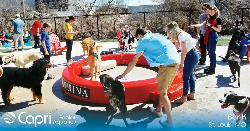 Capri_Pools's tweet photo. Cold drinks, good food and a splash zone for your four-legged friend?! Sign us up! ๐ถ ๐ฆ ๐พ Installing the @Purina dog bowl splash pad at @barkdogbar STL was paws-itively one of our most fun projects to date!
#CapriPools #BarKDogBar #BarKDogBarSTL https://t.co/iMcquvvUSa