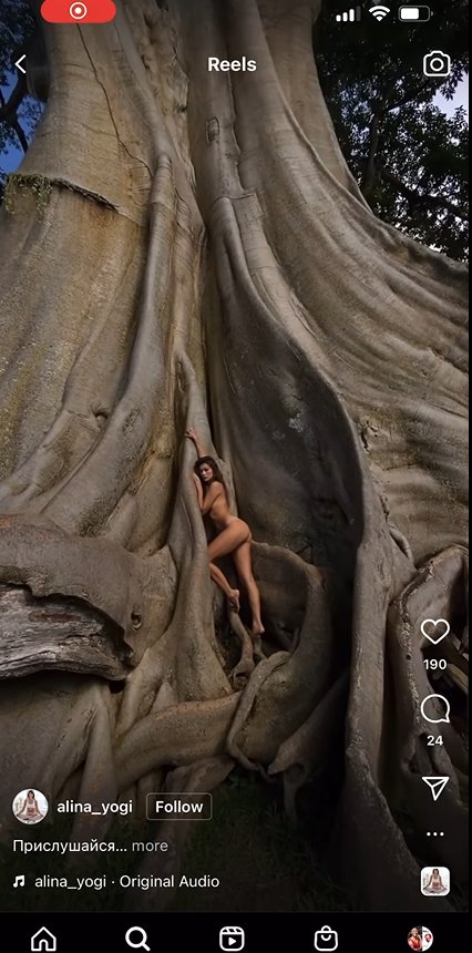 NyimasLaula's tweet image. Another day, another trash foreigner disrespecting local culture. The tree located in a temple compound.