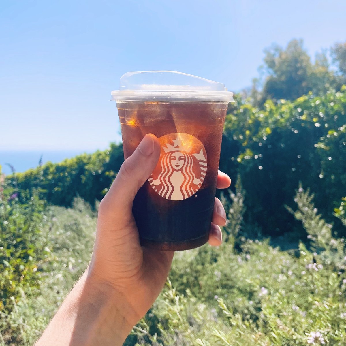 A hand holds up a Cold Brew on a sunny day with the ocean in the background.