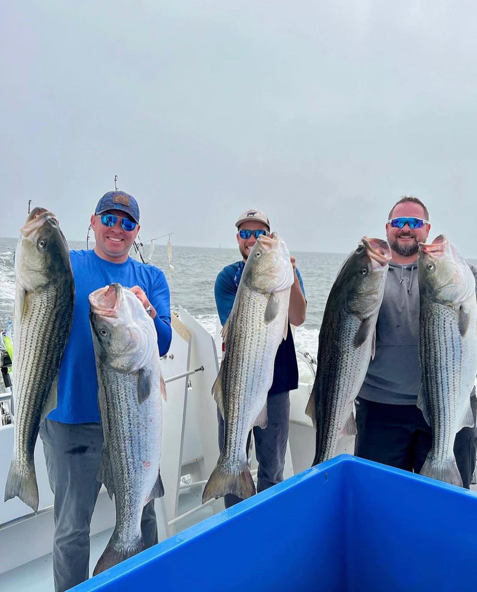 Reel Counsel supporting F4AC tweet media