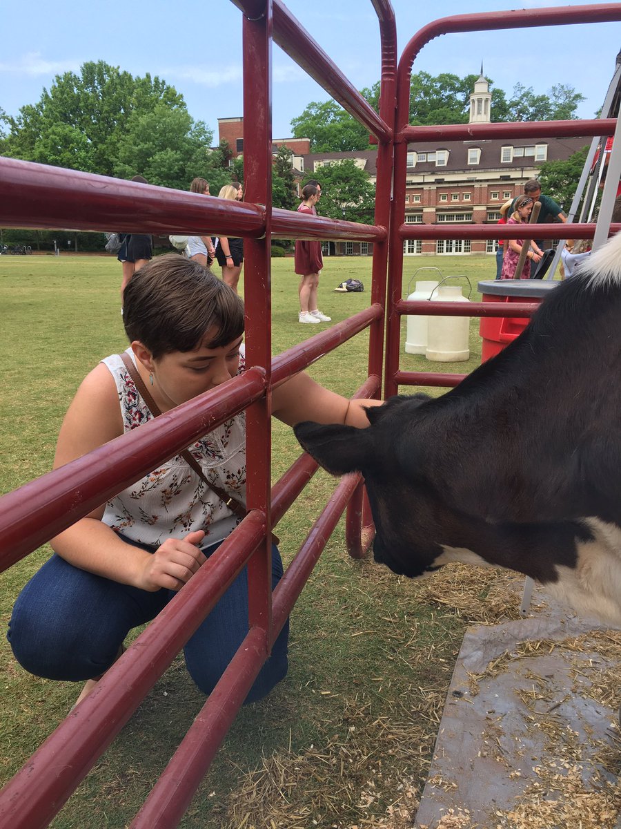 The last few weeks have honestly been some of the worst. But petting this lovely Holstein gal eases my country heart.