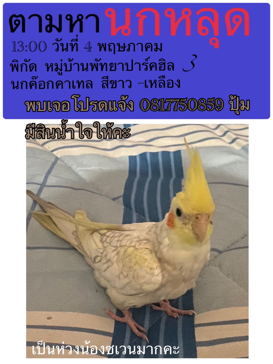 Mraphan's tweet image. 