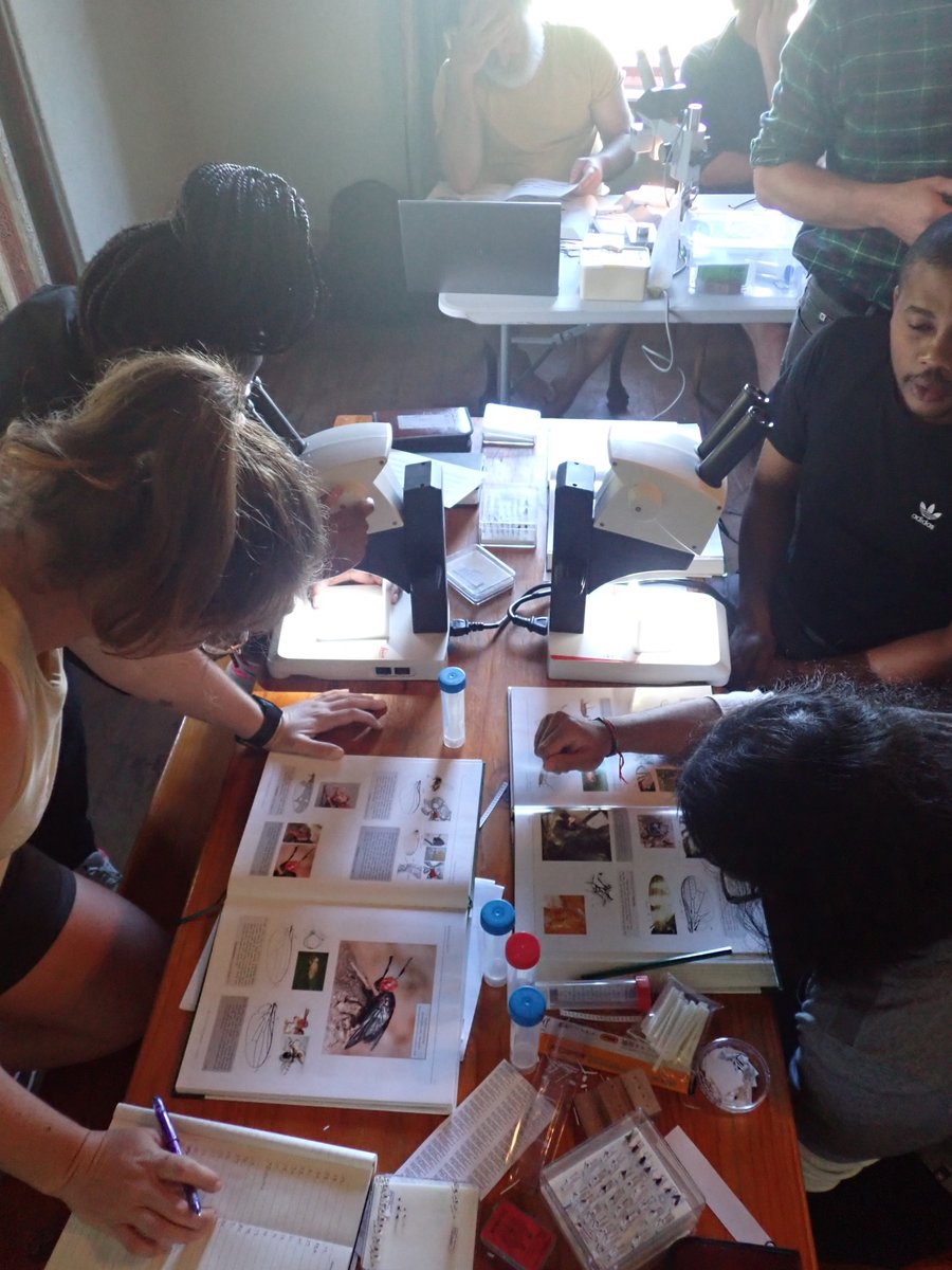 John Midgley tweet media