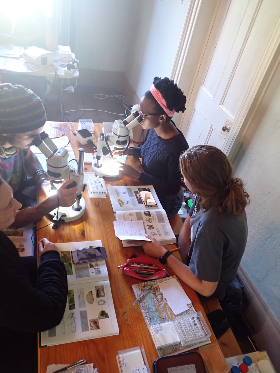 John Midgley tweet media