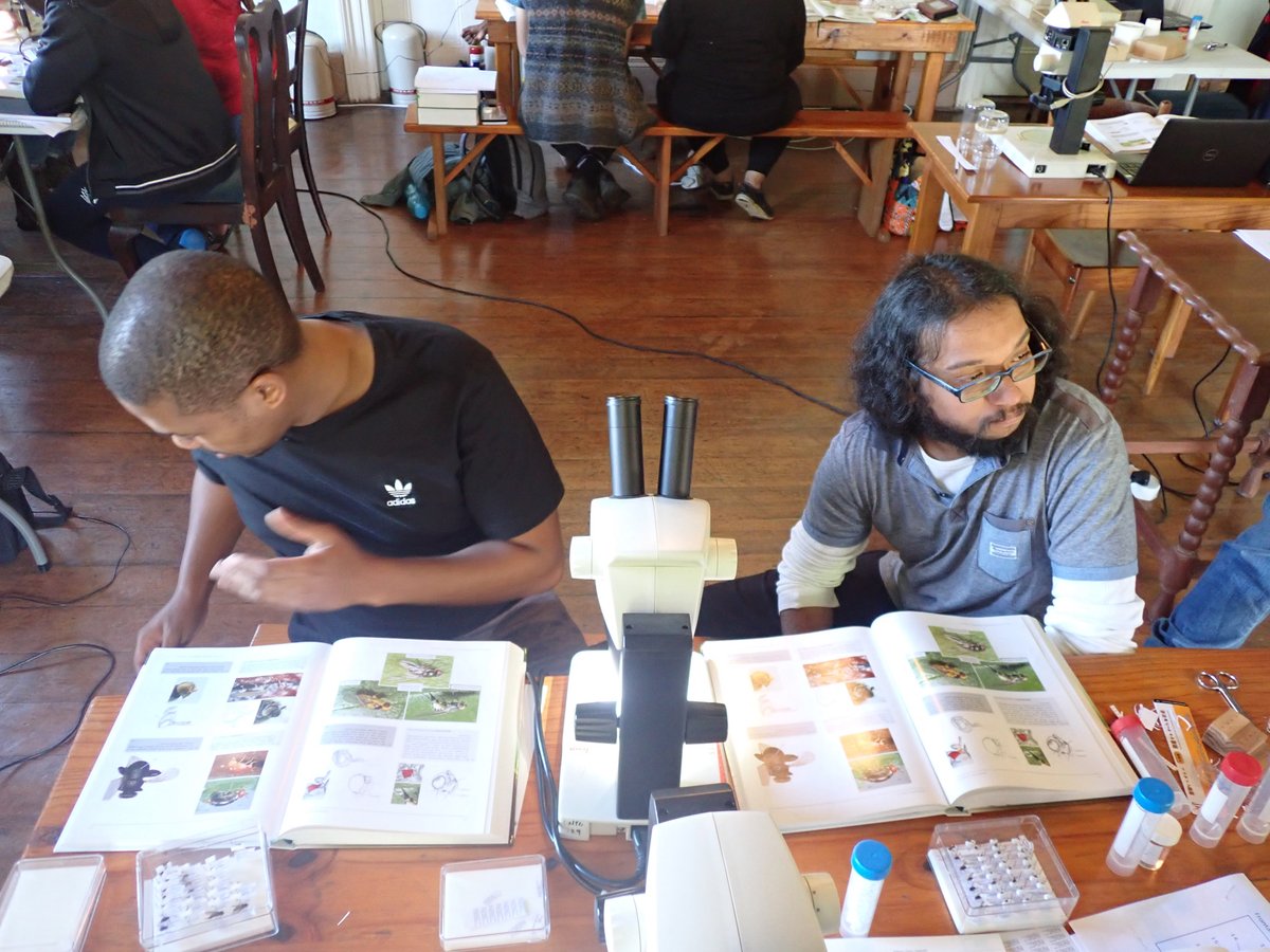 John Midgley tweet media