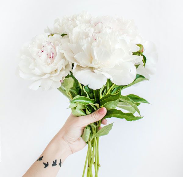 margoWeb's tweet image. What&apos;s Cookin: On Mother&apos;s Day celebrate at Koshari Mama&apos;s Brunch, we&apos;ll help make it a special time for your Mom. In the news- our special Feta Sandwich is back May 10th in all it&apos;s minty and vegan goodness -- mailchi.mp/8a4896242dd6/m…