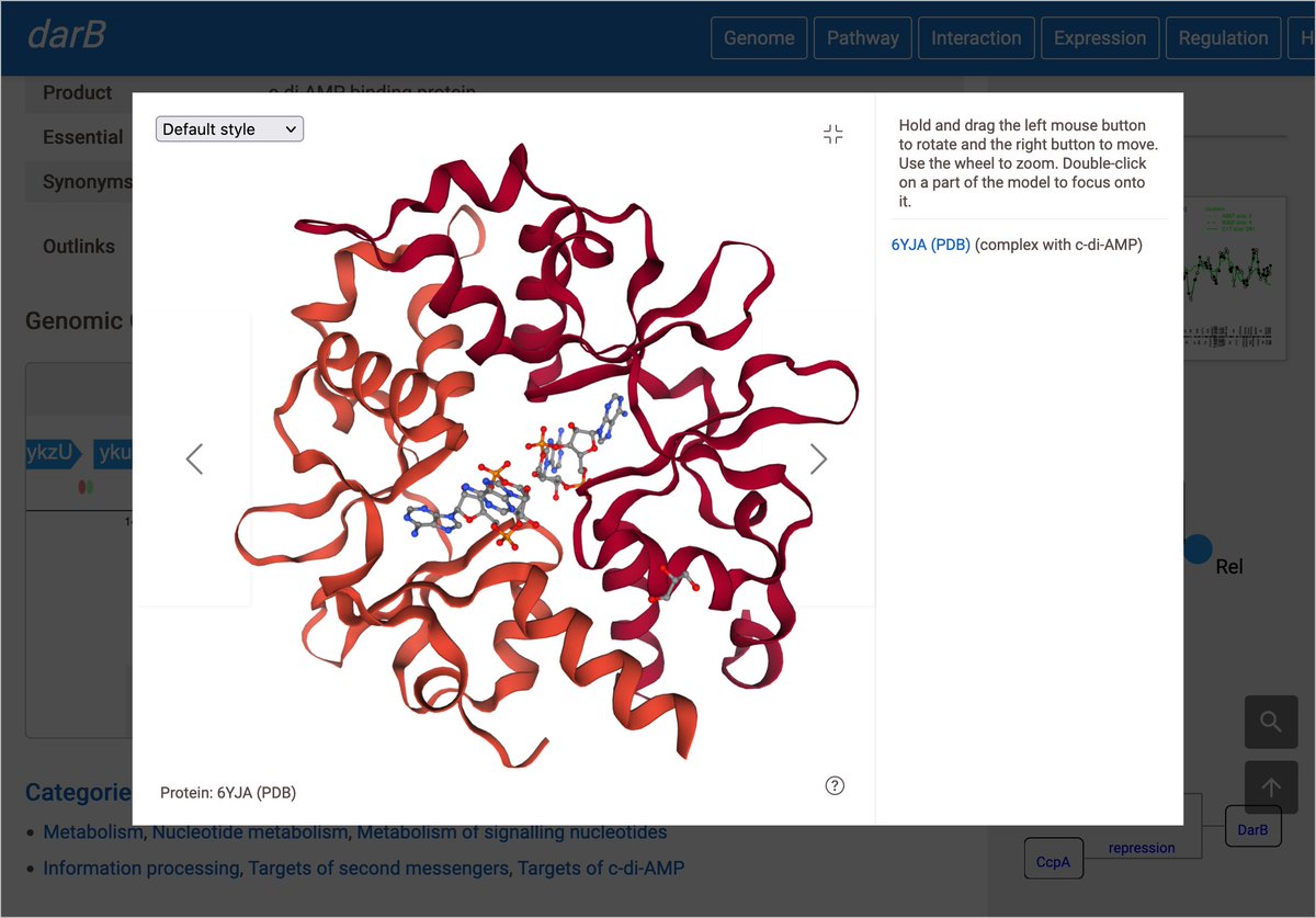 c_elfmann's tweet image. Small update to #SubtiWiki (subtiwiki.uni-goettingen.de): we added the improved structure viewer from #MycoWiki, and metabolites are now visible in PDB structures, as well! We also implemented some subtle layout changes, and solved an issue with loading updates on the website.